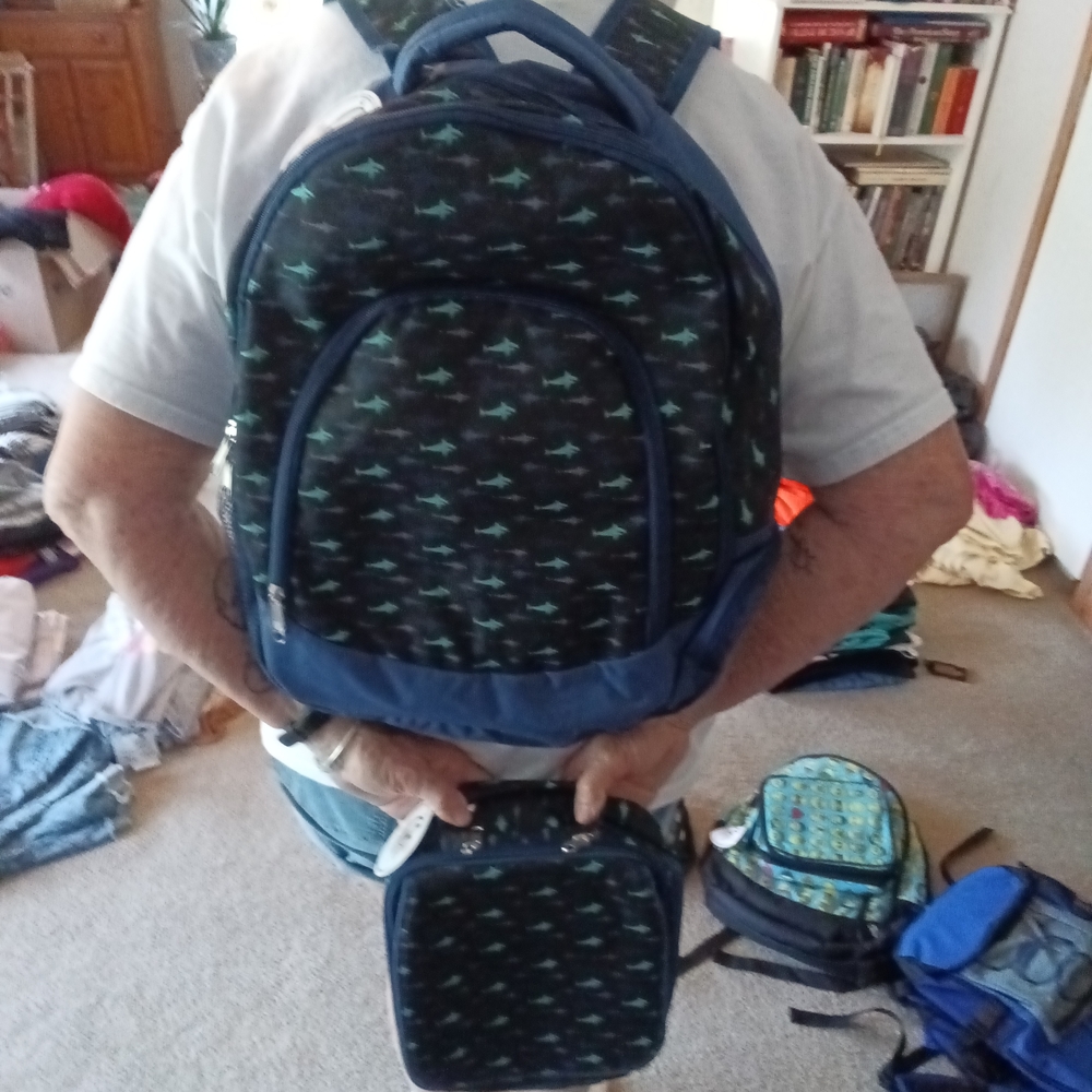 Kids Blue Shark Pattern Backpack and Lunch Bag Set